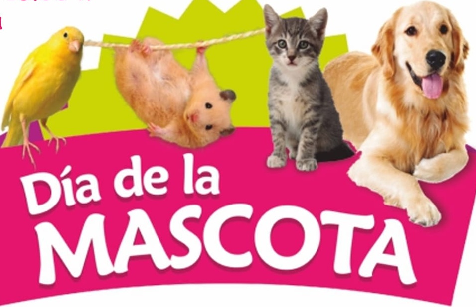 DIA DE LA MASCOTA EN LA RESIDENCIA 2018