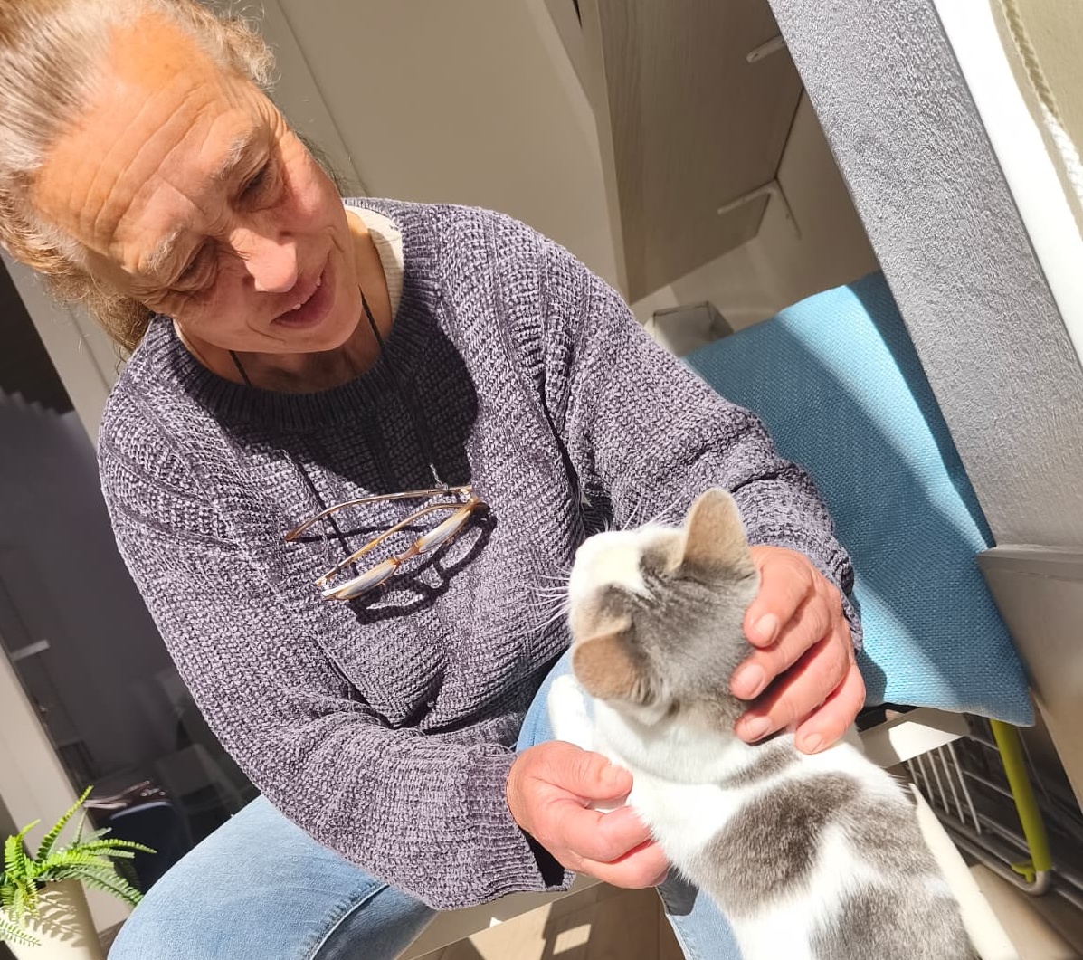 ADOPCIÓN COLONOS FELINOS (33)