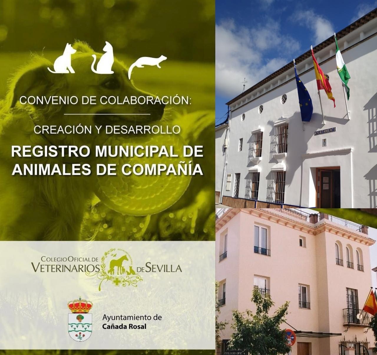 CONVENIO ANIMALES
