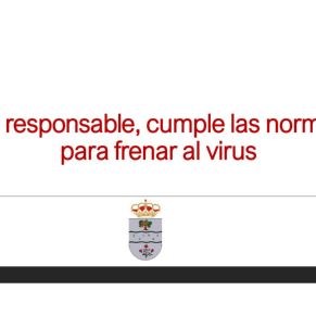 Informe Ayto.Cañada coronavirus 13-5-207