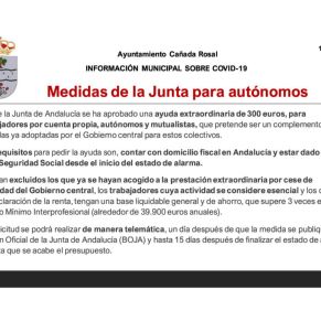 Informe Ayto.Cañada coronavirus 15-4-204