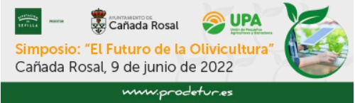 1_BANNER_WEB_CANADA_ROSAL 090622_detail