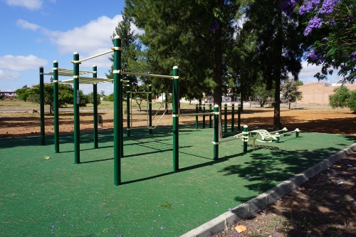 NUEVO PARQUE CALISTENIA (6)