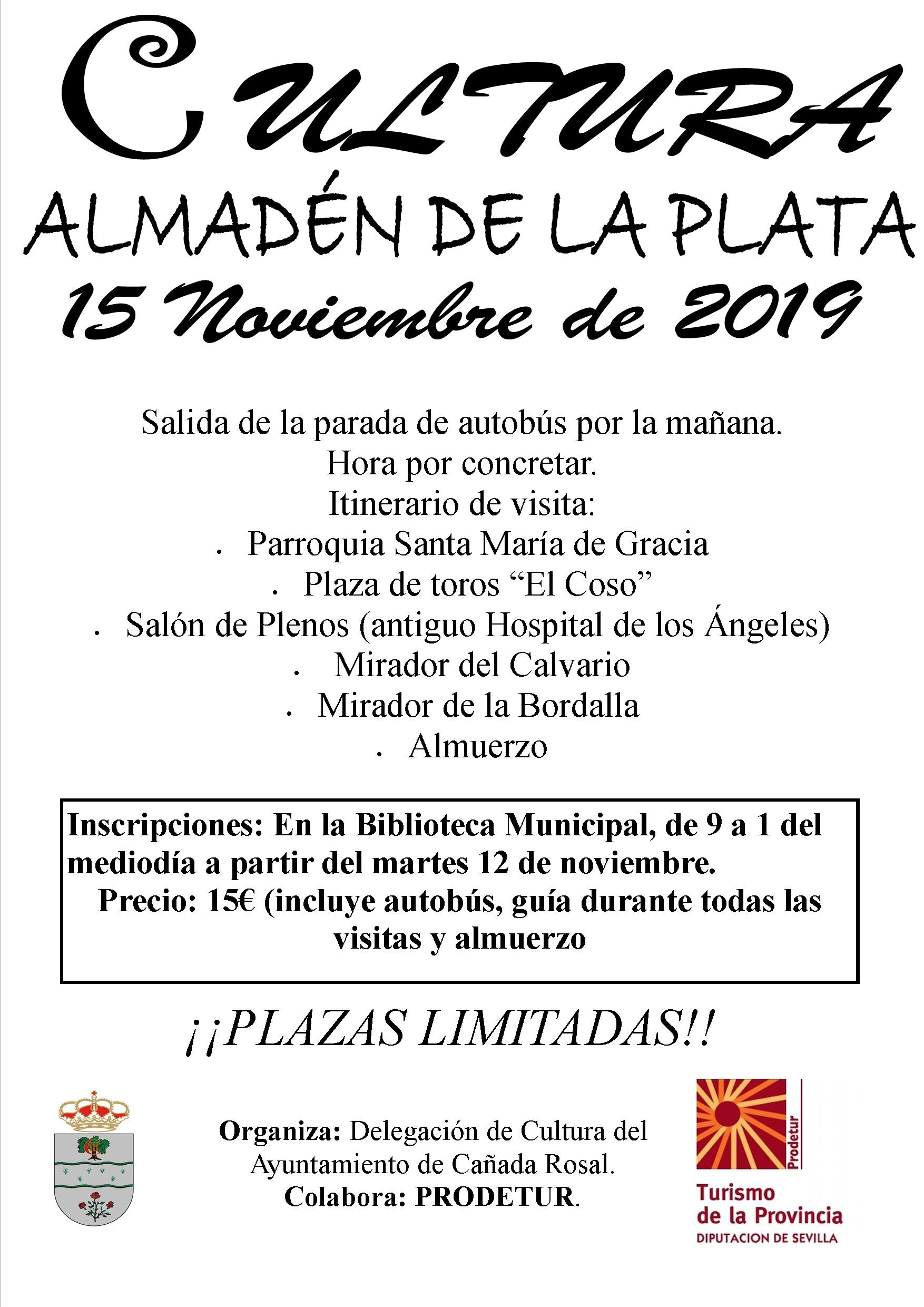 ALMADÉN DE LA PLATA