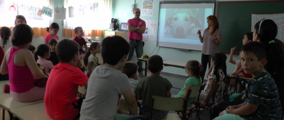 TALLER_ANIMALES_CEIP_ANDALUCxA_x2x.JPG