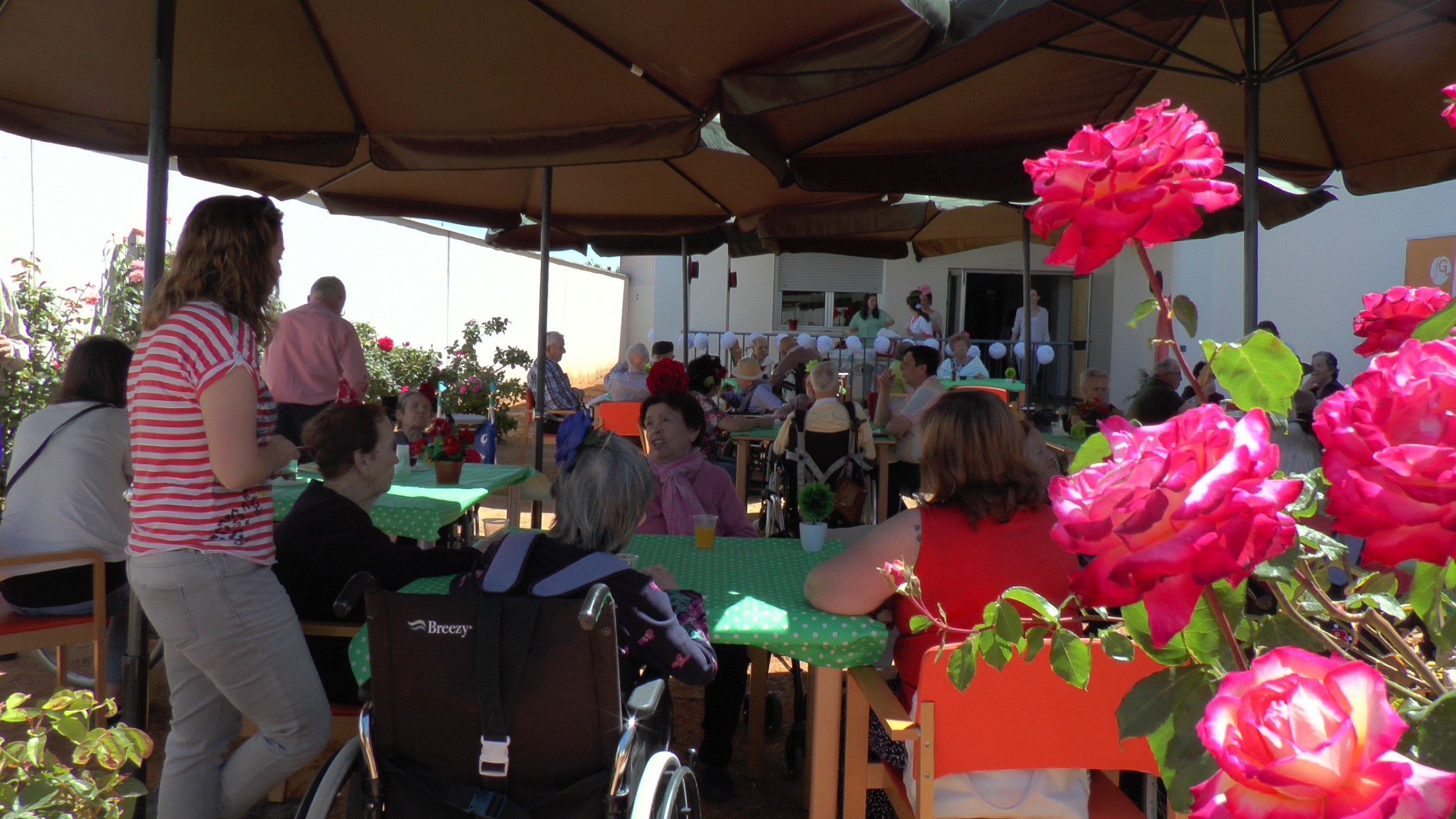 ROMERÍA RESIDENCIA MAYORES (4)