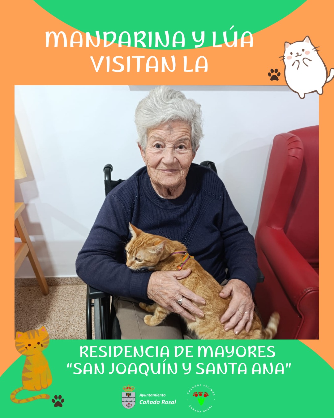 COLONOS FELINOS RESIDENCIA MAYORES_1