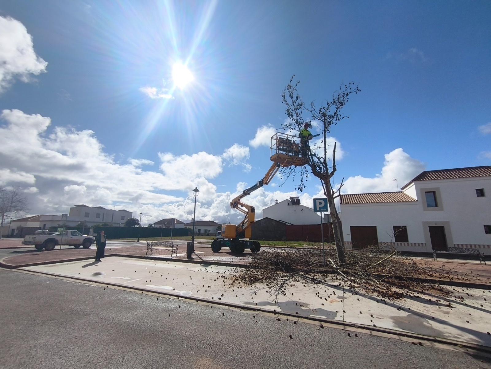 TRABAJO PODA AVD. ANDALUCÍA_1