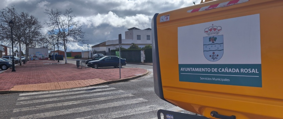 TRABAJO PODA AVD. ANDALUCÍA_2