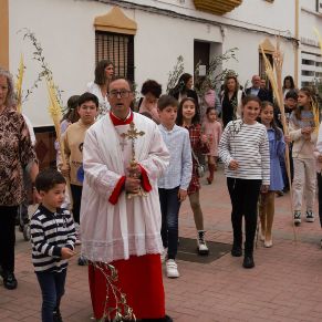 DOMINGO DE RAMOS-0