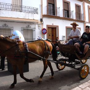 HUEVOS PINTADOS 2024-77