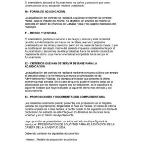 PLIEGO ADJUDICACIO¦üN BARRA PLAZA  FERIA 2024_page-0004