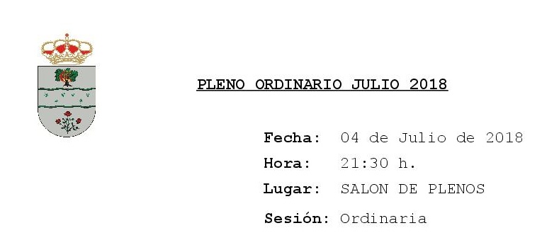 Pleno Ordinario Julio 2018-1