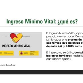 AYTO.CAÑADA INFORMACIÓN INGRESO MÍNIMO VITAL2