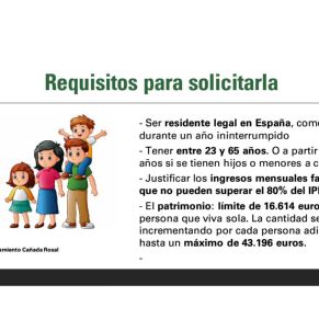 AYTO.CAÑADA INFORMACIÓN INGRESO MÍNIMO VITAL3