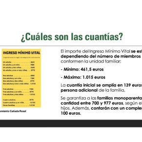 AYTO.CAÑADA INFORMACIÓN INGRESO MÍNIMO VITAL5