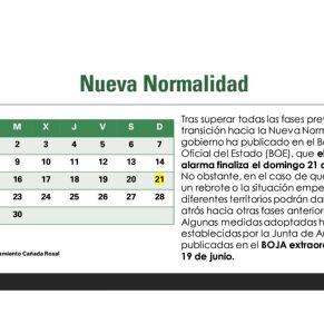 AYTO.CAÑADA MEDIDAS NUEVA NORMALIDAD (1)02