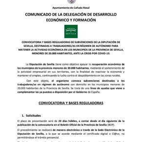 CONVOCATORIA AYUDAS A AUTÓNOMOS DIPUTACIÓN (1)1