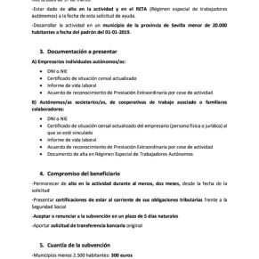 CONVOCATORIA AYUDAS A AUTÓNOMOS DIPUTACIÓN (1)2