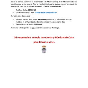 INFORME CORONAVIRUS CAÑADA 02-04-20 (1) (1)3