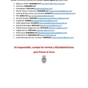 INFORME CORONAVIRUS CAÑADA 03-04-20 (3)3