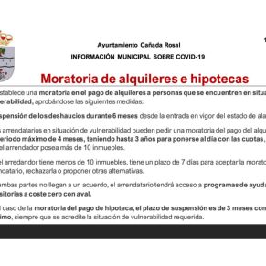 Informe Ayto.Cañada coronavirus 15-4-202