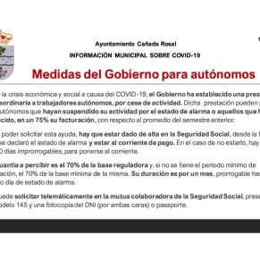 Informe Ayto.Cañada coronavirus 15-4-203