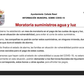 Informe Ayto.Cañada coronavirus 15-4-205
