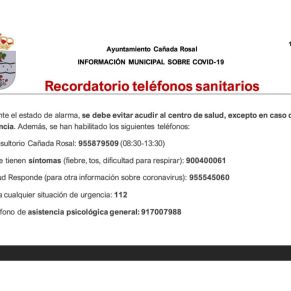 Informe Ayto.Cañada coronavirus 15-4-206
