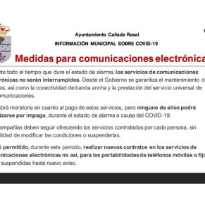 Informe Ayto.Cañada coronavirus 18-4-204