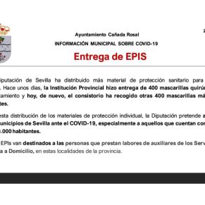 Informe Ayto.Cañada coronavirus 29-4-204