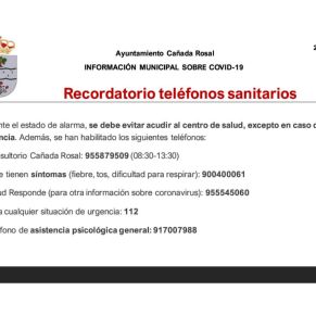 Informe Ayto.Cañada coronavirus 29-4-205
