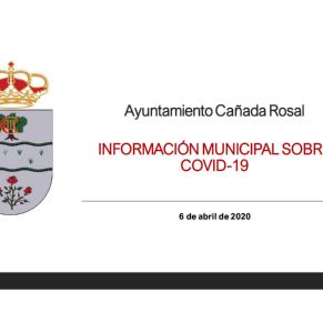 Informe Ayto.Cañada coronavirus 6-4-201