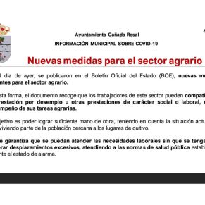 Informe Ayto.Cañada coronavirus 8-4-202
