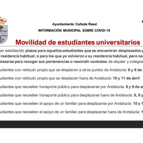 Informe Ayto.Cañada coronavirus 8-4-203