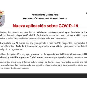 Informe Ayto.Cañada coronavirus 8-4-204