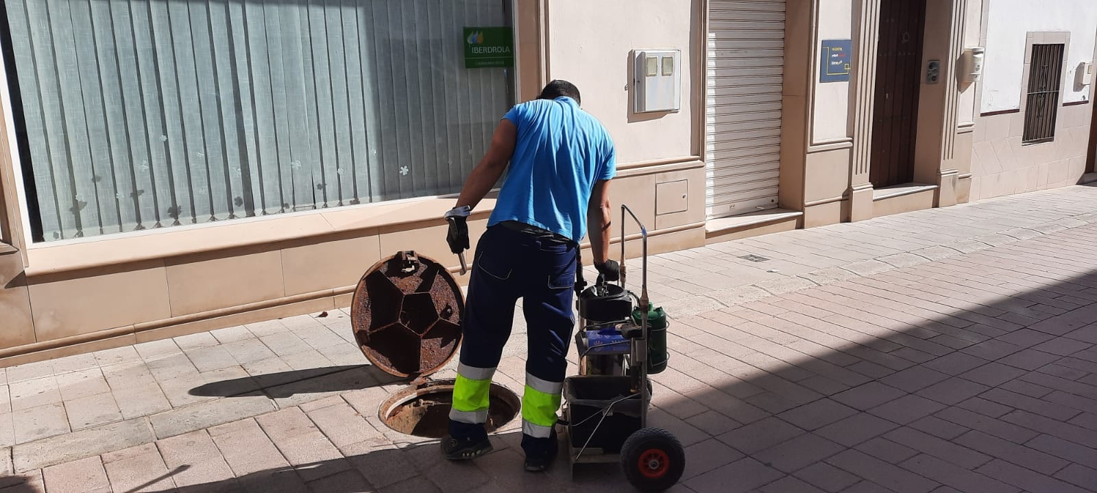 PLAGA CUCARACHAS (2)