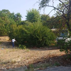 TRABAJOS DE PODA, ARROYO EL LAGAR (4)