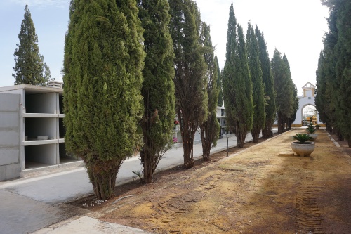 CEMENTERIO (7)