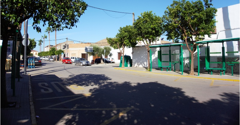 NUEVAS MARQUESINAS BÚS (10)