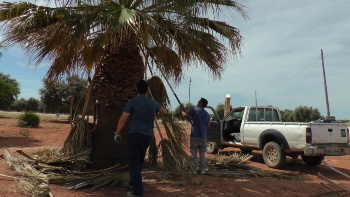 LA SUERTE ROMERÍA (3)