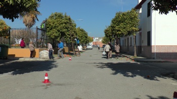 RECOGIDA NARANJA AMARGA (6)