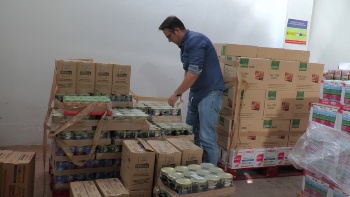 2 FASE ALIMENTOS (1)