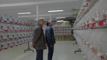 II CONCURSO ORNITOLOGICO (4)