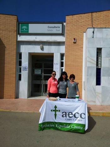 cuestacion cancer 2015_05