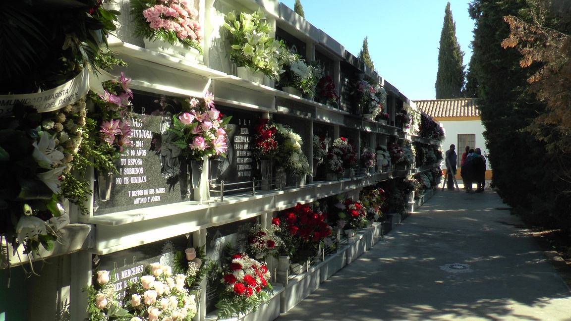 DÍA DE TODOS LOS SANTOS (3)