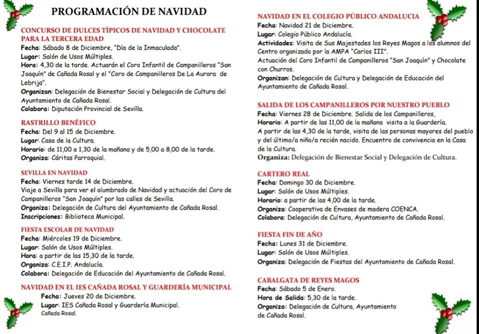 PROGRAMA NAVIDAD