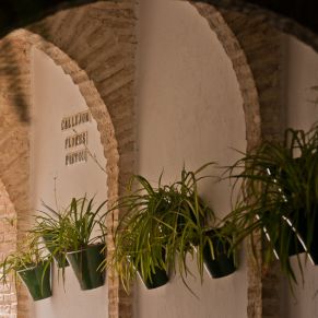 canada_rosal_callejon_flores2