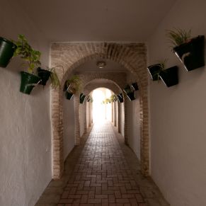 canada_rosal_callejon_flores3_peq