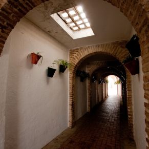 canada_rosal_callejon_flores4